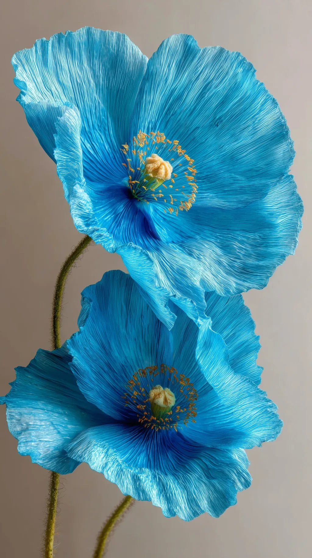 Tiffany blue poppies detail