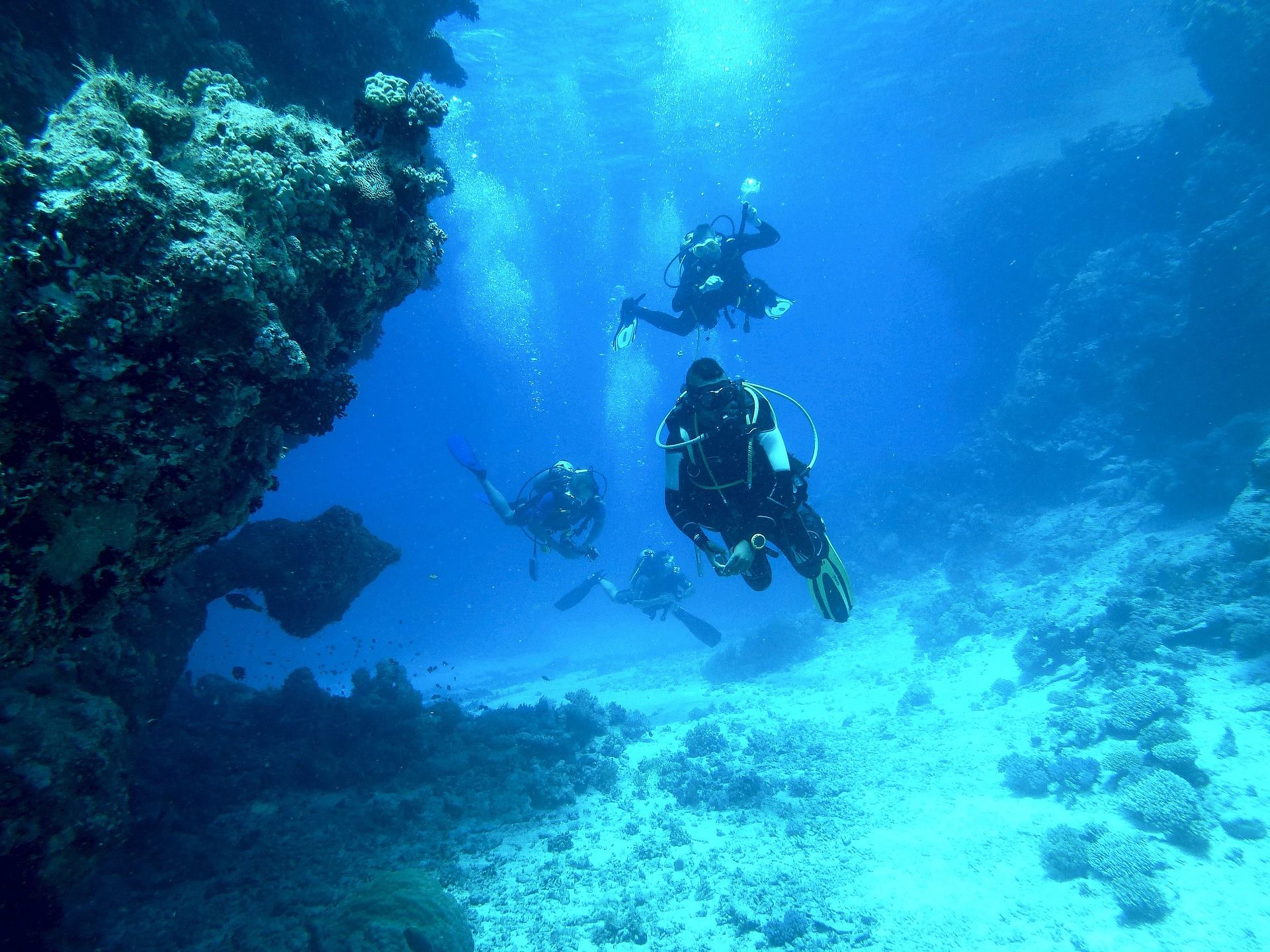 What you need to know about learning to scuba dive