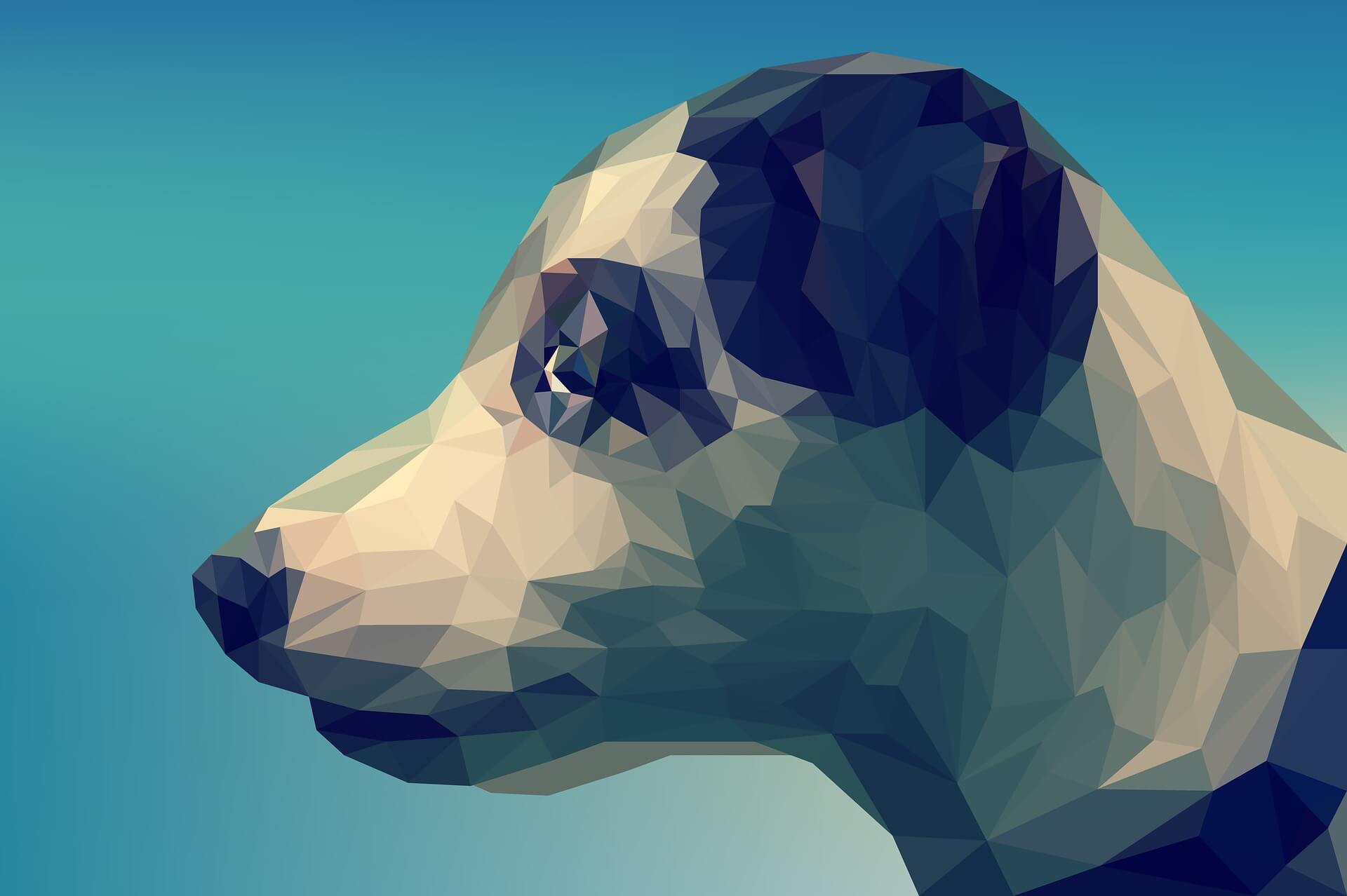 10 Vectorized Animals for Sketch